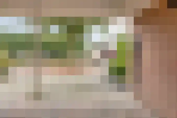 Rozenkamp 35 Eibergen thumbnail 6