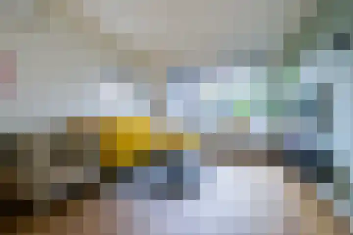 Rozenkamp 56 Neede thumbnail 10