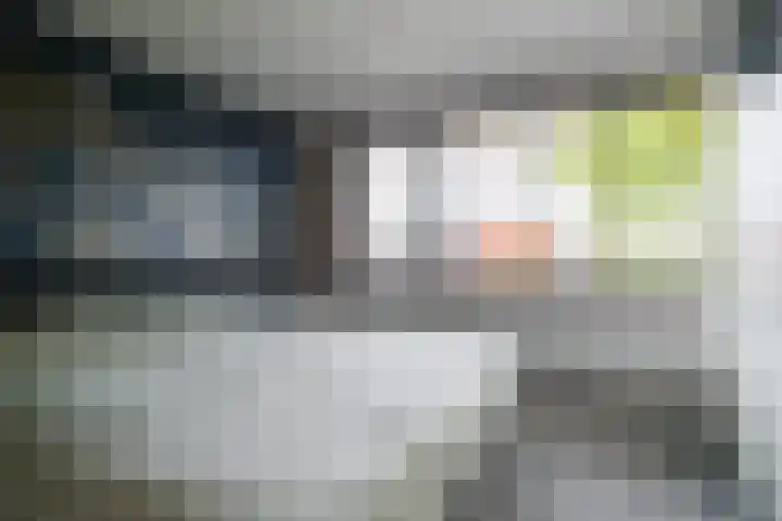 Rozenkamp 56 Neede thumbnail 18