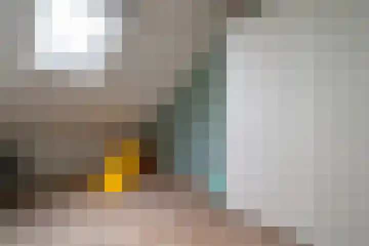 Rozenkamp 56 Neede thumbnail 26