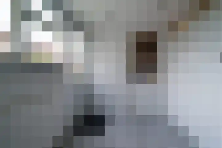 Rozenkamp 56 Neede thumbnail 28
