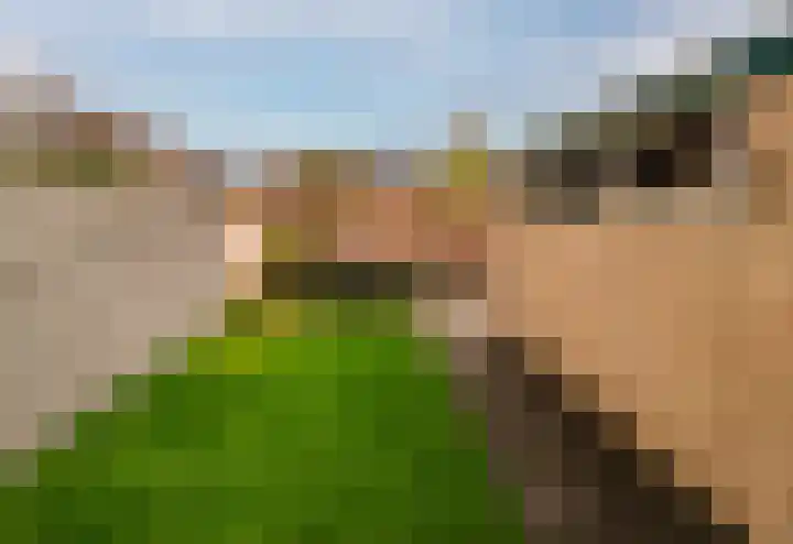 Rozenkamp 56 Neede thumbnail 29