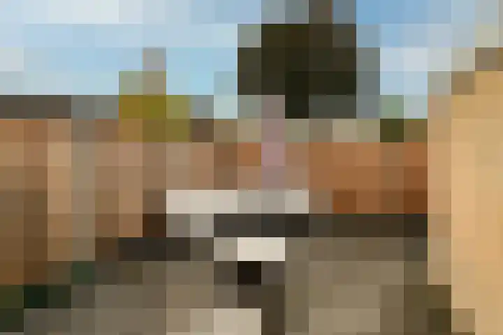 Rozenkamp 56 Neede thumbnail 30