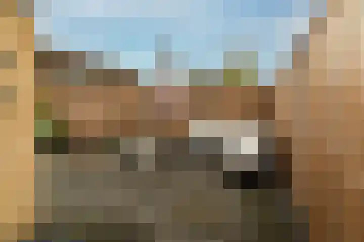 Rozenkamp 56 Neede thumbnail 31