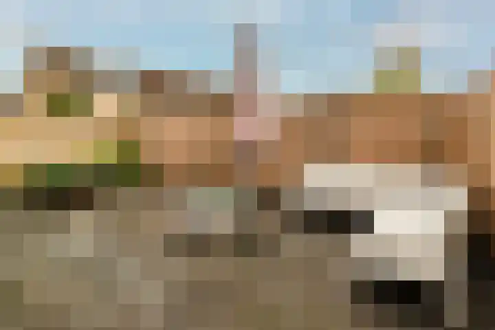 Rozenkamp 56 Neede thumbnail 32