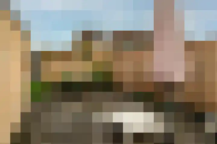 Rozenkamp 56 Neede thumbnail 33