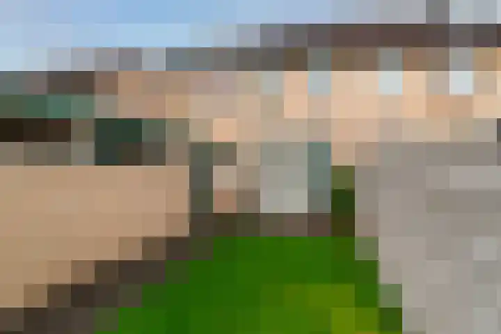 Rozenkamp 56 Neede thumbnail 34
