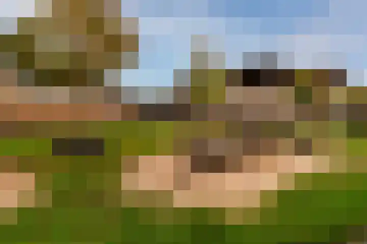 Rozenkamp 56 Neede thumbnail 35
