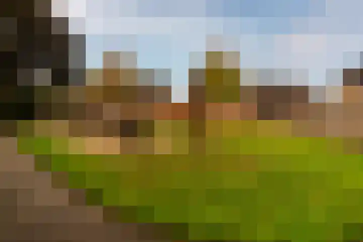 Rozenkamp 56 Neede thumbnail 36