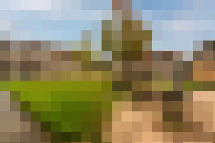Rozenkamp 56 Neede thumbnail 37