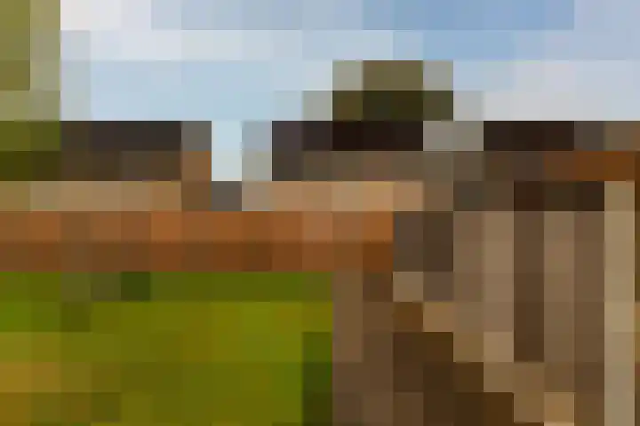 Rozenkamp 56 Neede thumbnail 38