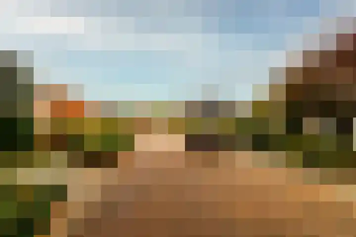 Rozenkamp 56 Neede thumbnail 39