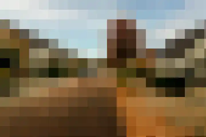Rozenkamp 56 Neede thumbnail 40