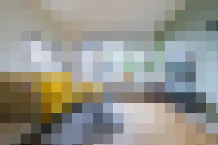Rozenkamp 56 Neede thumbnail 7