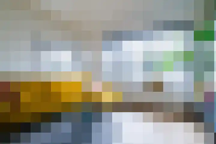 Rozenkamp 56 Neede thumbnail 8
