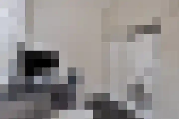 Rozenkransstraat 12 Venlo thumbnail 9