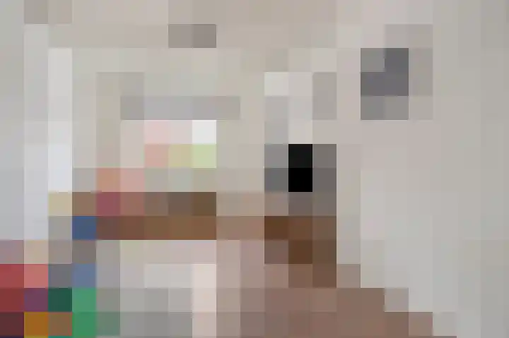 Rozenlaan 28 Grevenbicht thumbnail 11