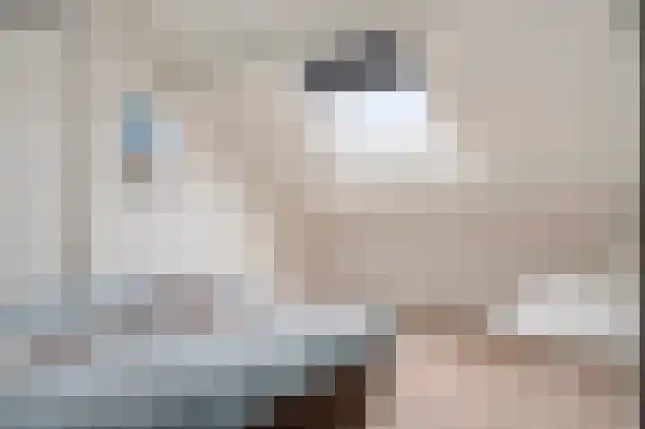 Rozenlaan 28 Grevenbicht thumbnail 37