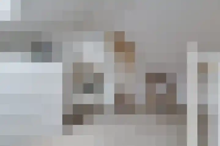 Rozenlaan 35 Beilen thumbnail 30