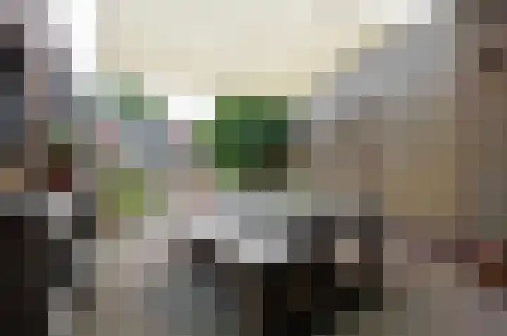 Rozenlaan 35 Beilen thumbnail 33