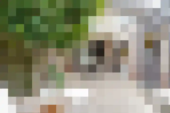 Rozenlaan 35 Beilen thumbnail 37