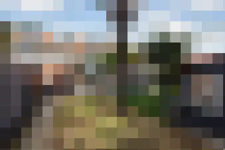 Rozenlaan 38 Vlaardingen thumbnail 24