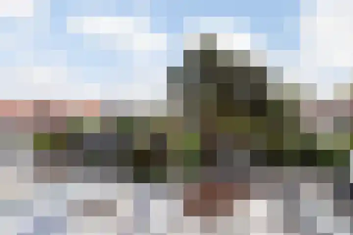 Rozenlaan 38 Vlaardingen thumbnail 37
