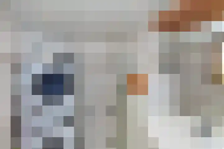 Rozenlaan 38 Vlaardingen thumbnail 4