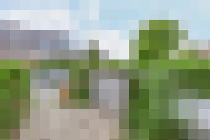 Rozenlaan 63 Rotterdam thumbnail 17