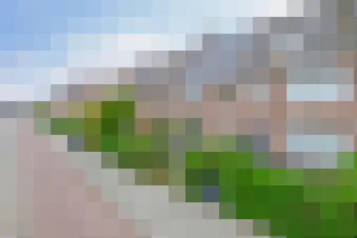 Rozenlaan 63 Rotterdam thumbnail 35