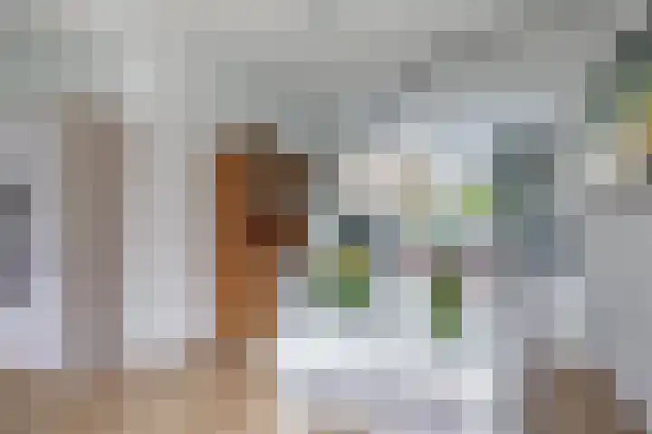 Rozenlaan 63 Rotterdam thumbnail 9
