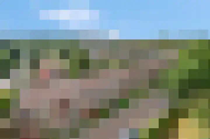 Rozenlaan 79 Rhenen thumbnail 15