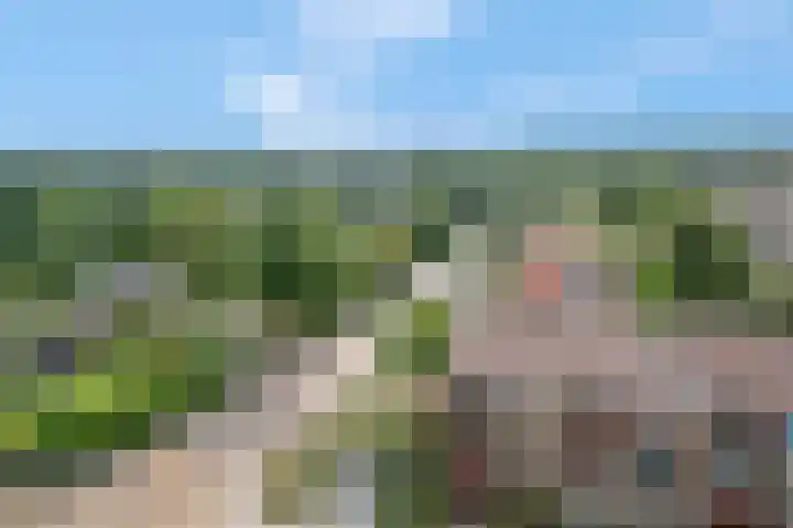 Rozenlaan 79 Rhenen thumbnail 16