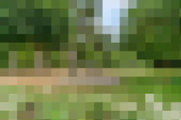 Rozenlaan 79 Rhenen thumbnail 27