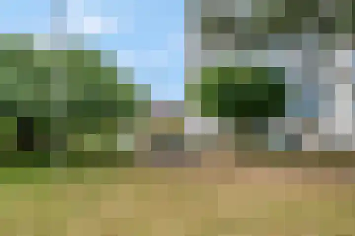 Rozenlaan 79 Rhenen thumbnail 29