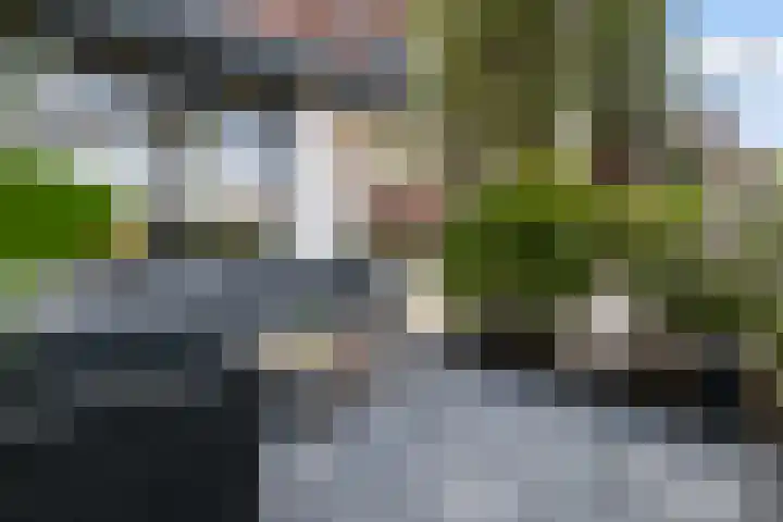 Rozenlaan 85 A Rotterdam thumbnail 37