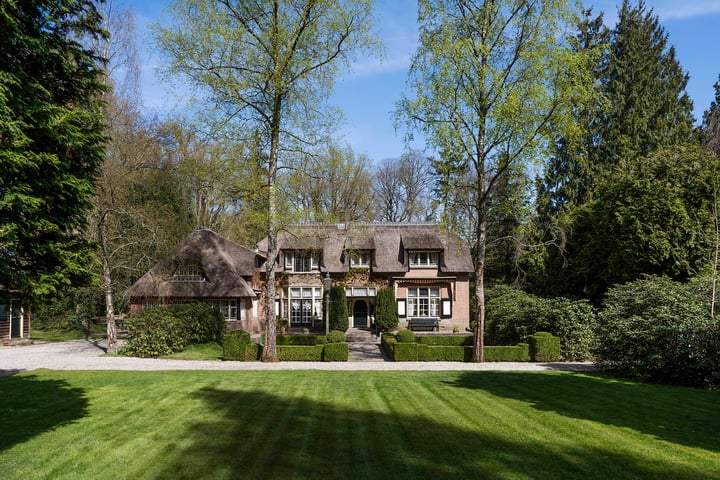 Rozenlaantje 14 in Laren foto