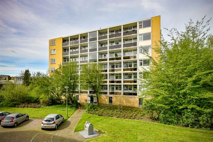 Rozenoord 113 in Amstelveen foto