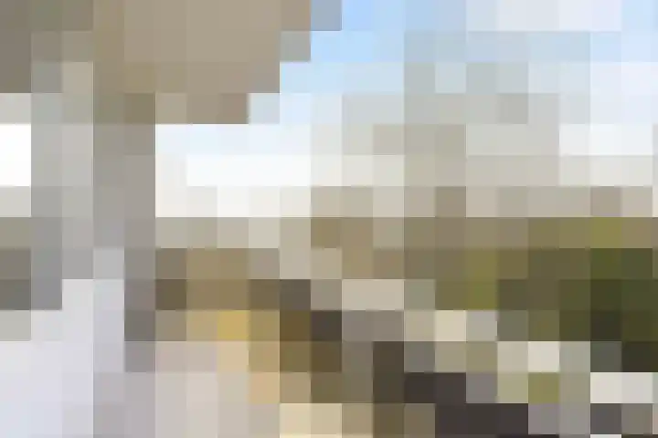 Rozenoord 117 Amstelveen thumbnail 15