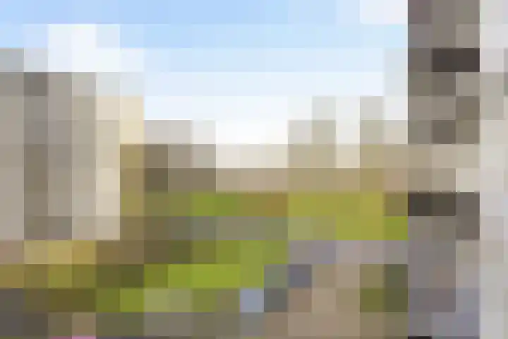 Rozenoord 117 Amstelveen thumbnail 16