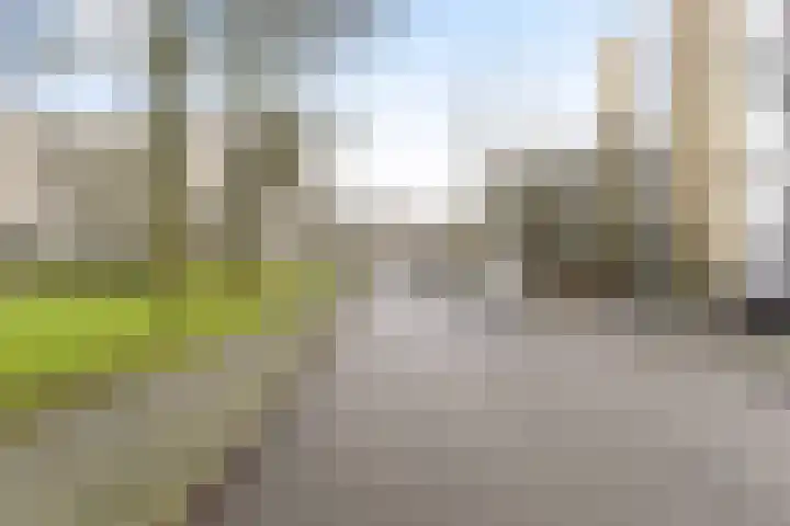 Rozenoord 117 Amstelveen thumbnail 19