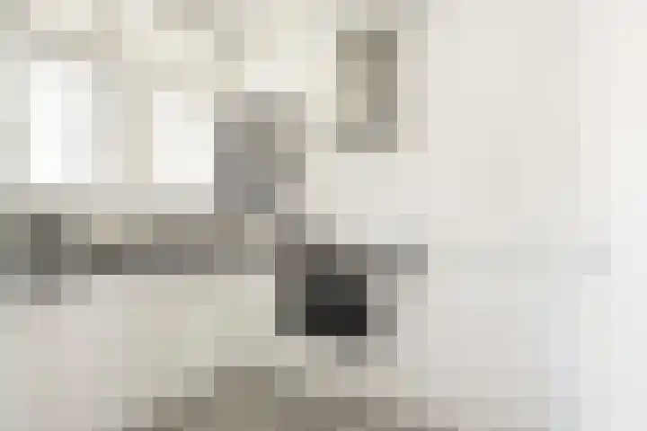 Rozenoord 117 Amstelveen thumbnail 7