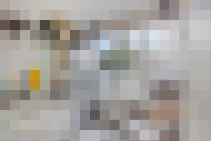 Rozenpad 6 Maarheeze thumbnail 23