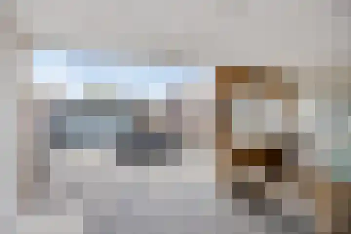 Rozenpad 6 Maarheeze thumbnail 26
