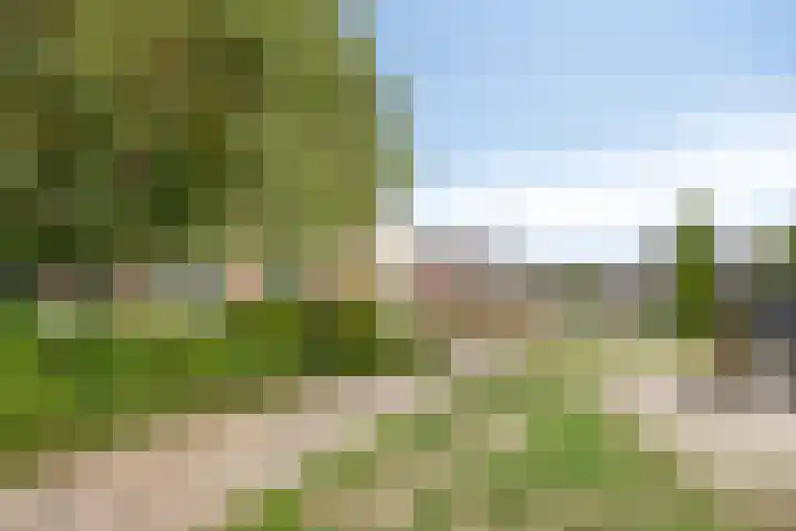 Rozenpad 6 Maarheeze thumbnail 32