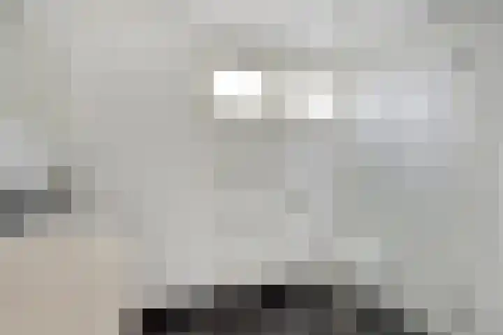 Rozenpad 6 Maarheeze thumbnail 4