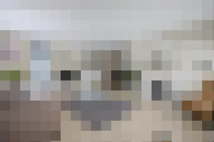 Rozenpad 8 Hoeven thumbnail 14