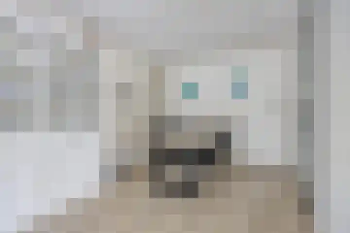 Rozenpad 8 Hoeven thumbnail 17