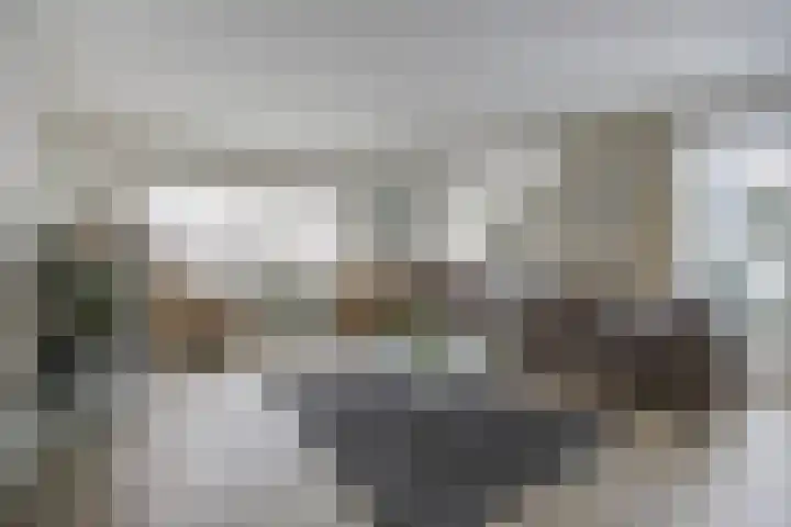 Rozenpad 8 Hoeven foto 2