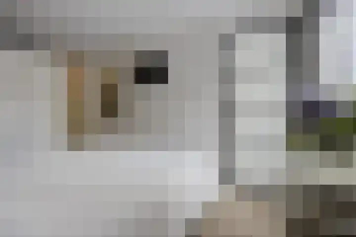 Rozenpad 8 Hoeven thumbnail 21
